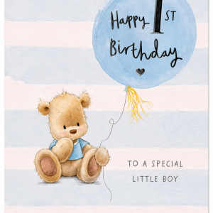Special Birthday Boy aged One