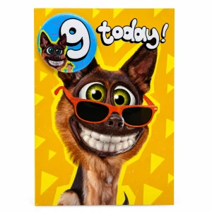 Funny 9th Birthday Card with Smiling Dog in Sunglasses front